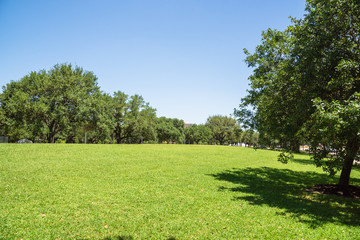 Green city park in midtown area of Houston at daytime during spring season. Row of huge oak trees,...