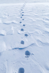 Footprints in the snow