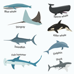 Naklejka premium Set of sea creatures