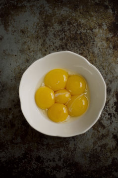 egg yolks