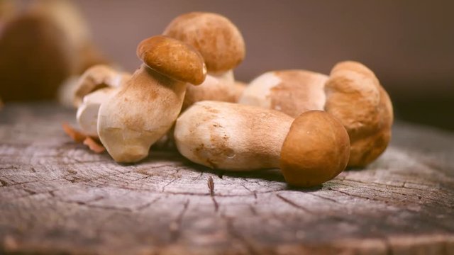 Ceps mushroom. Boletus closeup on wooden rustic table. Rotation 360 degrees. 4K UHD video 3840X2160