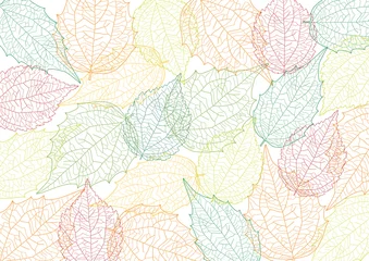 Rolgordijnen Vector achtergrond voorgevormde bladeren wireframe © designation
