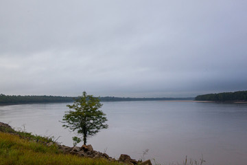 Mississippi River Bank