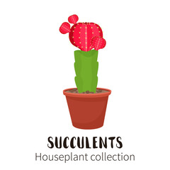 Cactus icons in a flat style on a white background. Home plants cactus in pots and with flowers. A variety of decorative cactus with prickles and without.