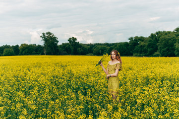 Fototapeta premium Beautiful girl in a dress among yellow flowers in a field