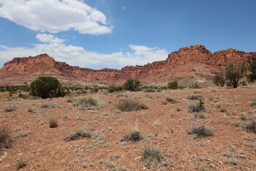 Fototapeta premium Rock Formation in Capitol Reef National Park. Utah. USA