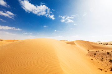 Fototapeta na wymiar desert landscape with a blue sky