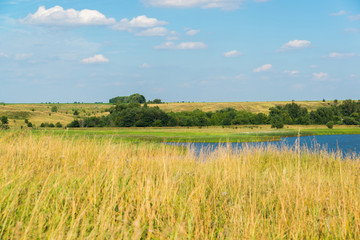 landscape in central Russia in August. Front focus