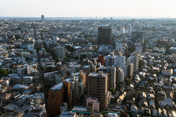 東京の建築物で埋め尽くされた都市風景１