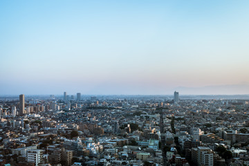 Obraz premium 東京の建築物で埋め尽くされた都市風景２