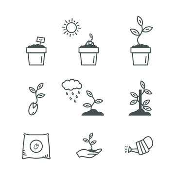 Pflanzen Samen Aussaat Vektor Icon Set