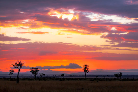 Sunrise over the Mara