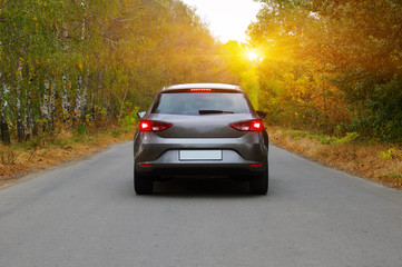 The car on the autumn