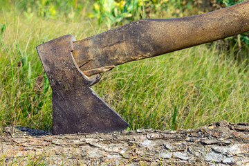 Old rustic ax in the wood on a background of green grass. Firewood splitting for a picnic. Log with...