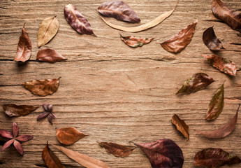 Autumn leaves fall on old wood texture background. Weathered  wooden plank with grungy surface and cracks. Copy space designed for fall season.