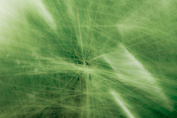 Abstract green grass 