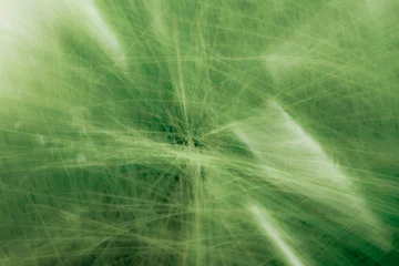 Fotobehang Abstract green grass  © Petra