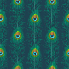 Peacock feather seamless pattern. Exotic ornament background