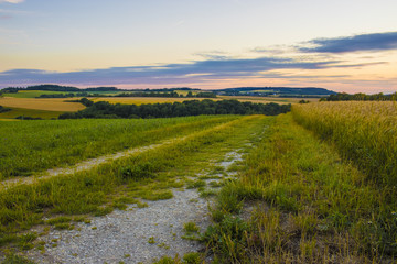 Feldweg im Abendrot