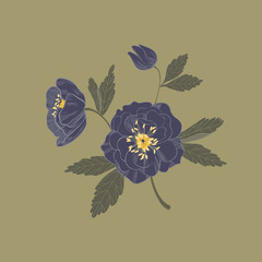 Vector illustration of  black onyx helleborus flowers isolated on khaki green. Beautiful floral element for your design