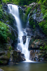 Fototapeta na wymiar Beautiful wallpaper of a Waterfall - Darjeeling
