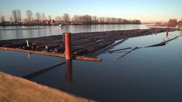 Fraser River Log Boom and Boat 4K. UHD. A workboat travels down the Fraser River behind a log boom. Vancouver, British Columbia, Canada.
