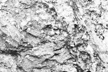 White stone surface as background. Abstract white texture