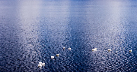 white buoys at a blue lake reflecting light