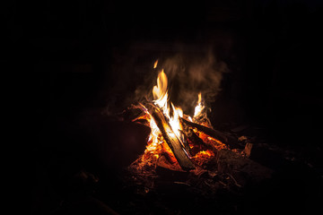 a big campfire in the night. Burning wood on fire