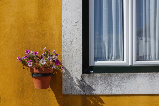 Widow With Vases