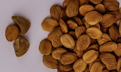 Pile of apricot seeds isolated on white background close up