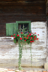 holzhaus mit fenster