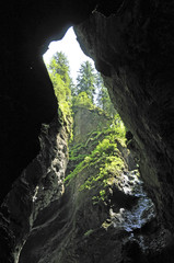 bewachsene felsen in der breitachklamm