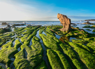 Idyllic tropical sea in sunny day in Vietnam