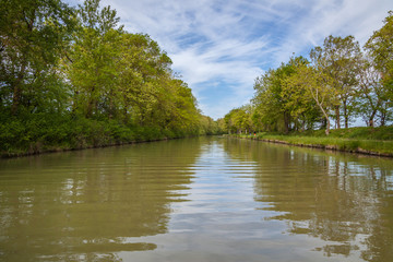 Fototapeta na wymiar green Canal du Midi in spring summer