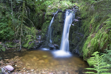 Muckenloch Wasserfall, Nationalpark Schwarzwald