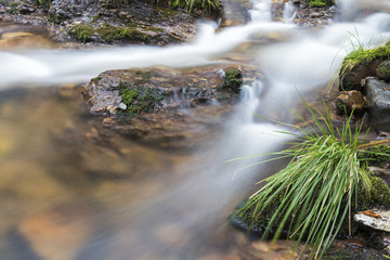 Wildbach