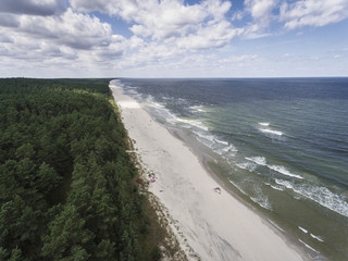 Obrazy  Widok z lotu ptaka na brzeg Morza Bałtyckiego i lasu w pobliżu Krynicy Morskiej w Polsce.
