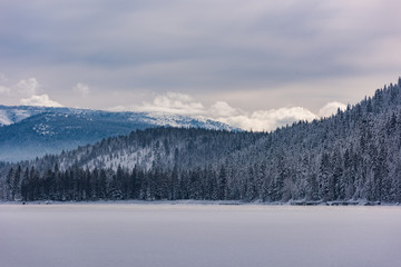 A Cold View from Donner Lake