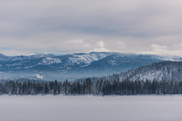 A Cold Day on Donner Lake
