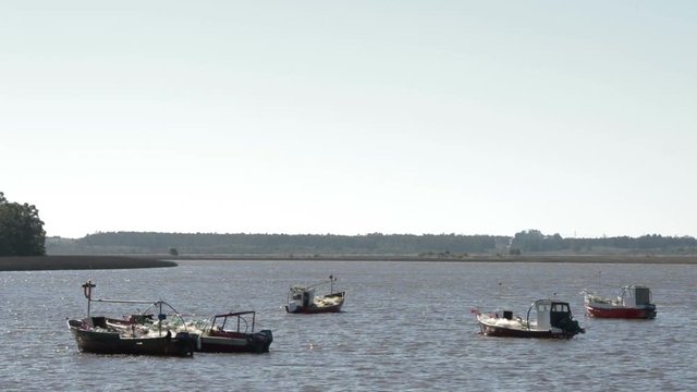 boats sailing on the Santa Lucia river in Uruguay