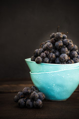 Organic food concept