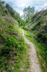 Fototapeta na wymiar Path between the hills into the woods