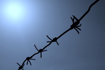 Barbed wire on a blue background with light