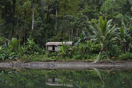 Steaming rainforest in Misool, Gam river, Raja Ampat, Western Papua, Indonesian controlled New Guinea, on the Science et Images "Expedition Papua, in the footsteps of Wallace&rdquo;, by Iris Foundation
