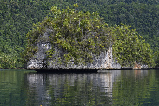 Karst island archipelago, Triton Bay, Mainland New Guinea, Western Papua, Indonesian controlled New Guinea, on the Science et Images "Expedition Papua, in the footsteps of Wallace&rdquo;, by Iris Foundation