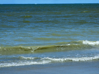 Maria farinha sea