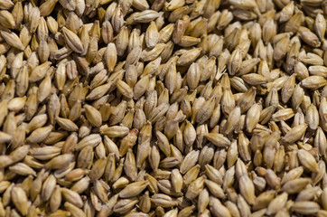 Equipment inside brewery