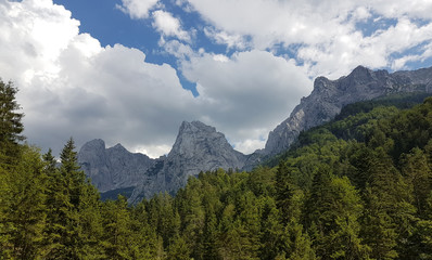 Obraz premium The Austrian Alps rising above the forest