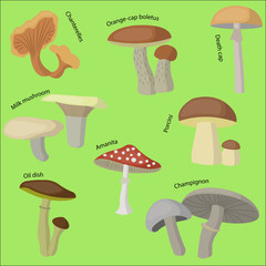 Mushroom forest set
